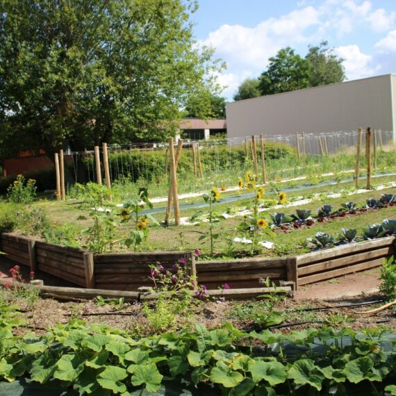 Rendez-vous au jardin !